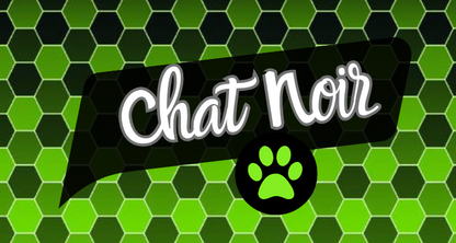 MIRACULOUS • Chat Noir ▹ FIN DE SÉRIE